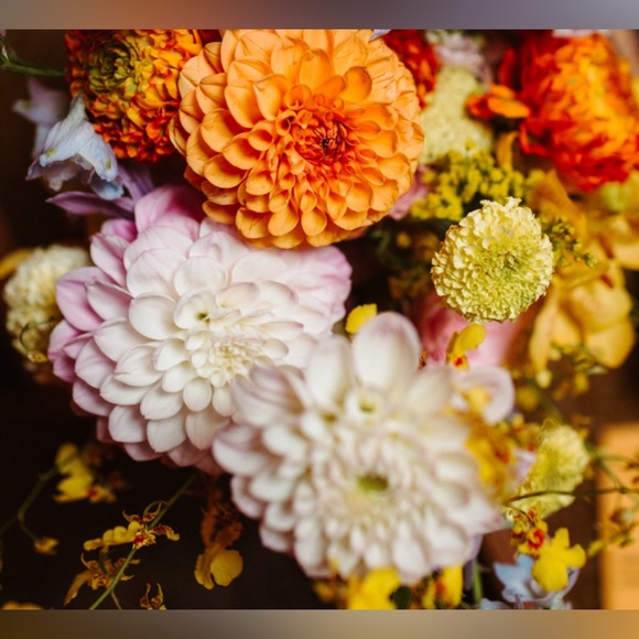 Meet your Posher, Megan - Picture 1 of 1